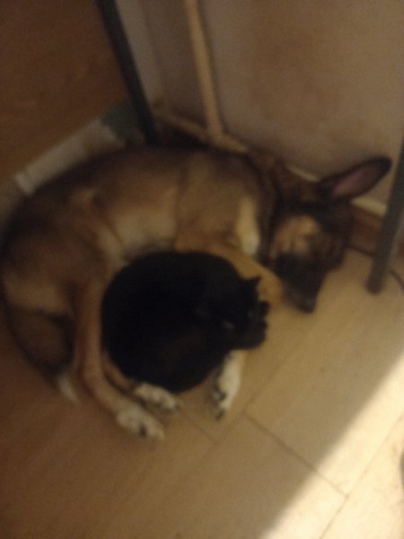picture_308665847