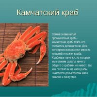 Камчатский краб