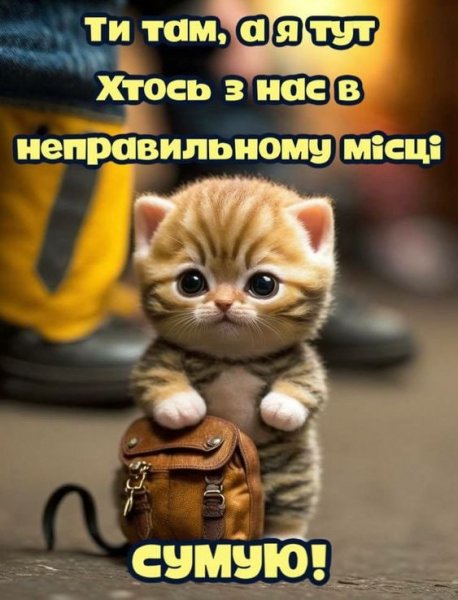 Сумую