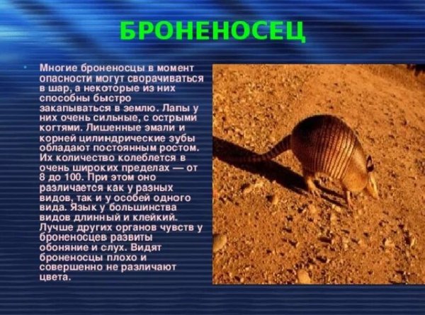 Броненосец
