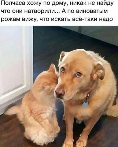 image (15)