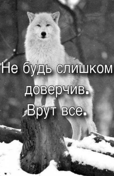 FB IMG 1593588339160
