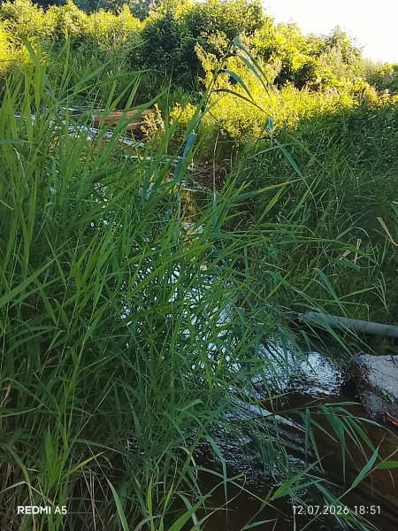 picture_419013178