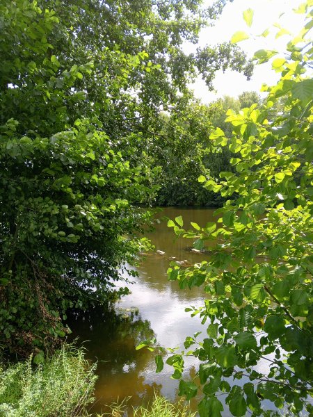 picture_369063878