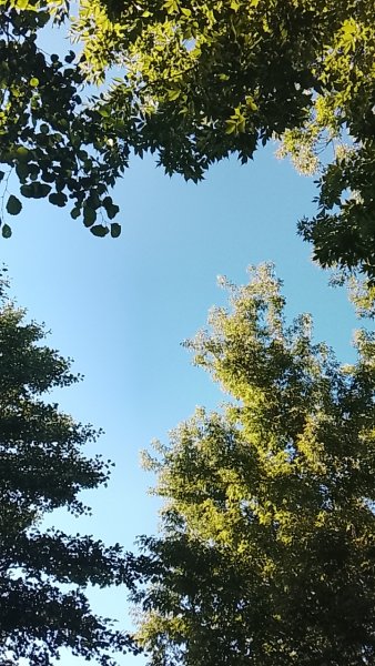 picture_419013270