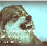 IMG 20200628 002409