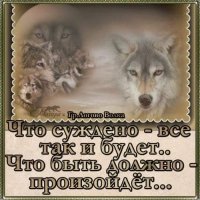 FB IMG 1593436374886