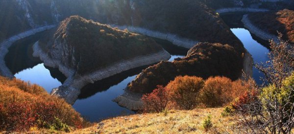 в Сербии
