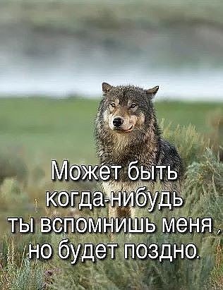 IMG 20200628 003534