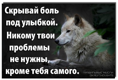 picture_211985350