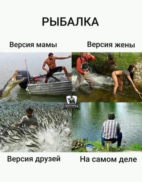picture_419453623