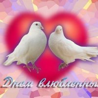 getImage000