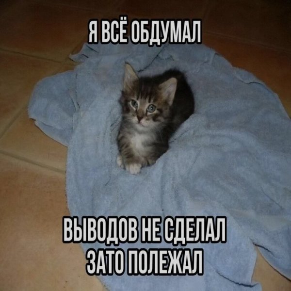 picture_421059992