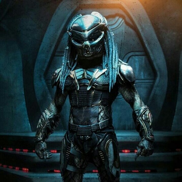Predator