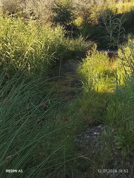 picture_419013172