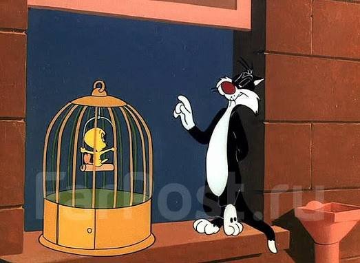 Images (81)