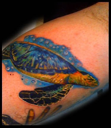Tattoo (858)
