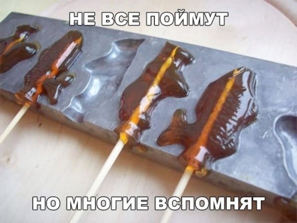 95cd596337 0000