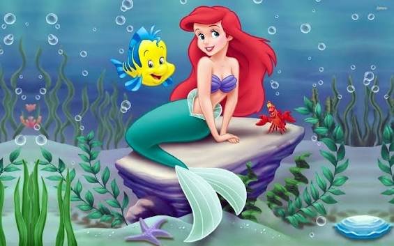 Images (23)
