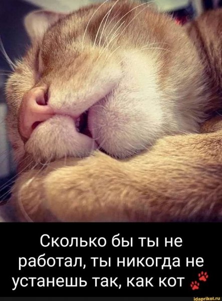 Так! ))