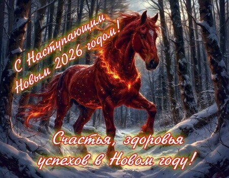 Друзья мои!