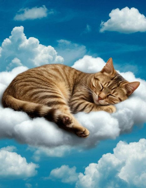 On the cloud