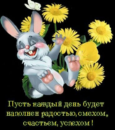 IMG-20180325-WA0012-1