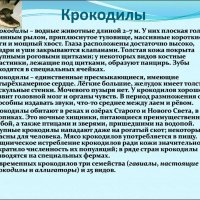 Крокодилы