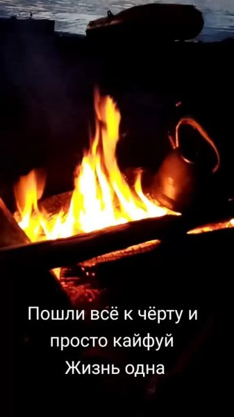 Жизнь одна