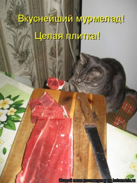 Целая плитка!