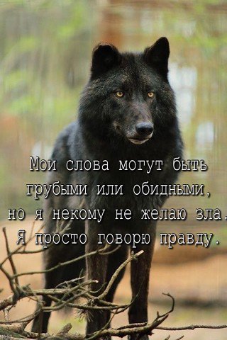 picture_215724966
