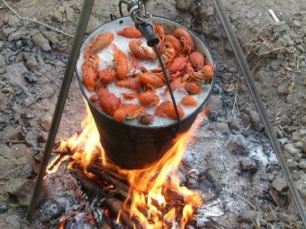 Раки