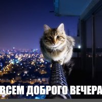 Всем доброго вечера