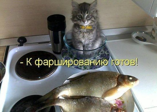 Да! ))