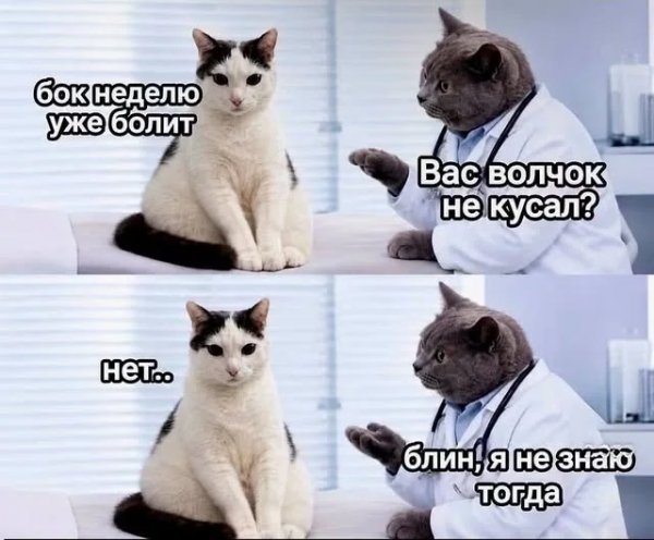 Mjwre726