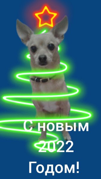 С Новым 2022 Годом!
