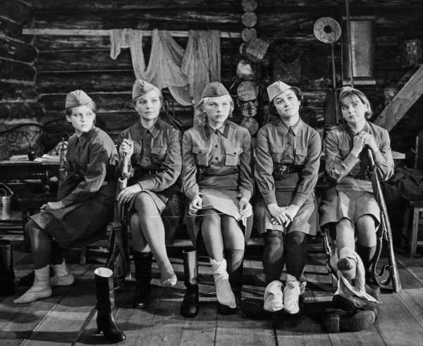 Центральная студия детских и юношеских филм. им. М. Горького