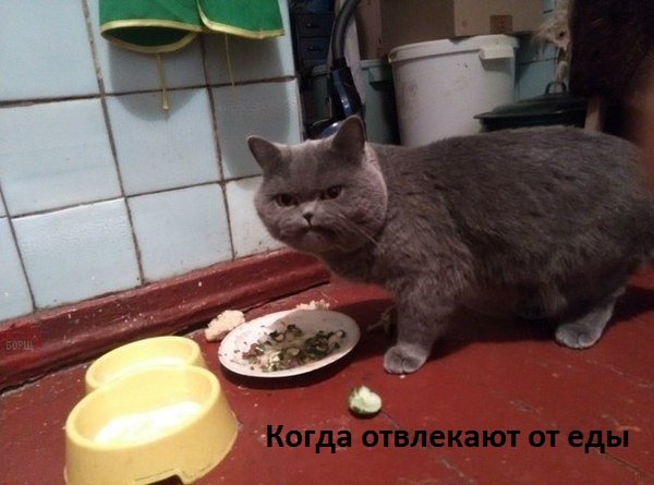 Images 11301
