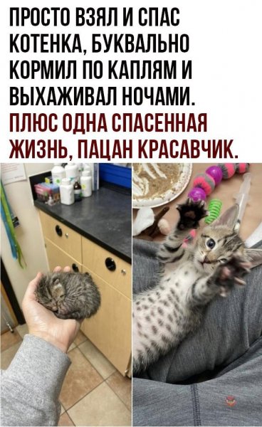 Плюс один