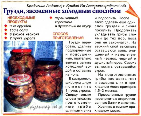 Грузди-засоленные-холодным-способом