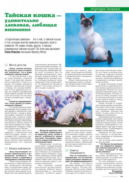 Тайская кошка