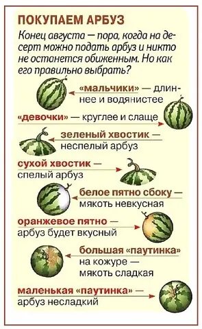 Выбираем арбуз