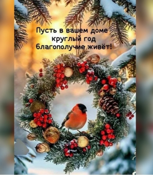 IMG 20260108 012352