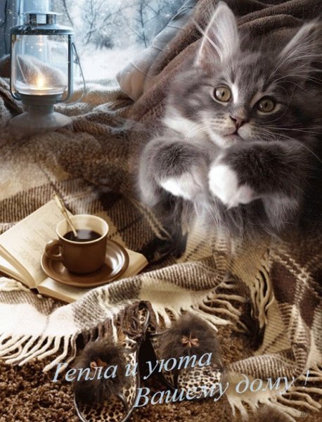 2fmNfSNusRw