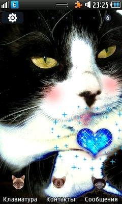TheAristoCat