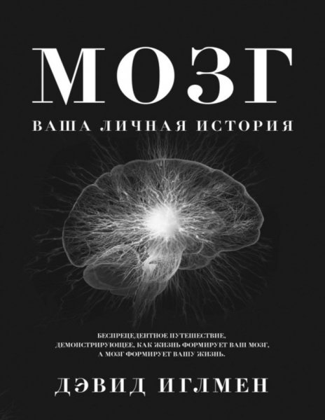 Дэвид Иглмен - Мозг Ваша личная история
