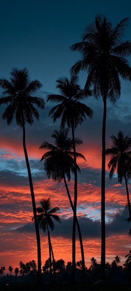 file_103280691
