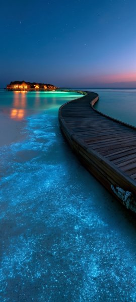 file_103286187