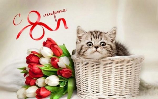 С 8 Марта......
