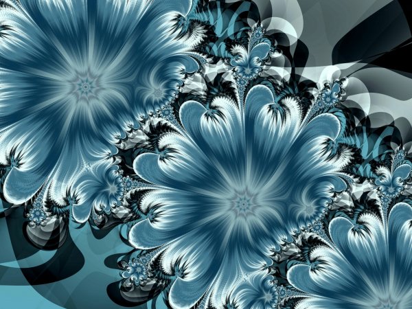 HD 48